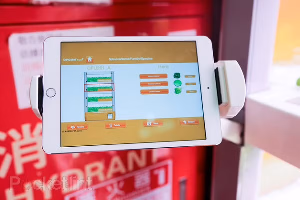 Trồng rau thật bằng iPad ảnh 4