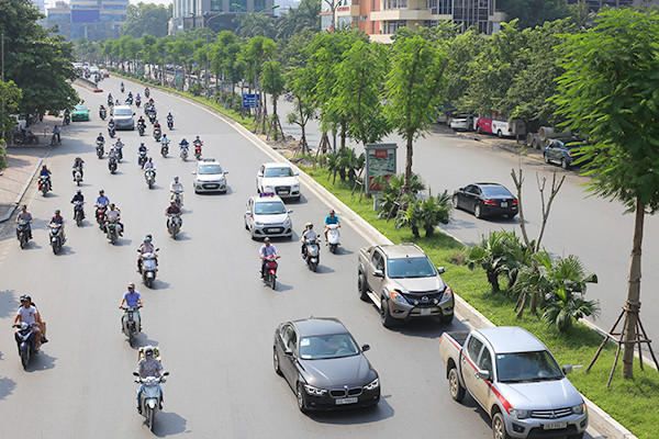 Kỳ lạ phượng vỹ Hà Nội nở hoa trái mùa ảnh 3