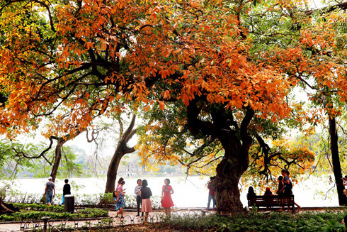 Và em có nghe khi mùa thu tới... ảnh 1 Và em có nghe khi mùa thu tới... ảnh 1