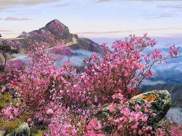 "Thăm quan" hệ điều hành máy tính Red Star 3 của Triều Tiên ảnh 10 "Thăm quan" hệ điều hành máy tính Red Star 3 của Triều Tiên ảnh 10