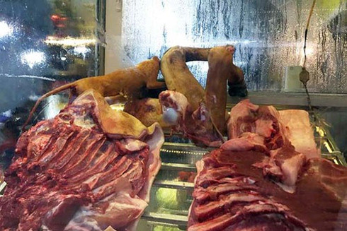 Đảm bảo an toàn tuyệt đối cho du khách trẩy hội chùa Hương ảnh 2