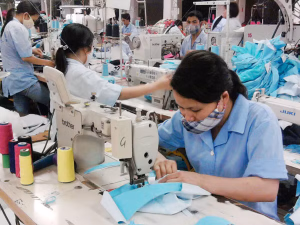 Năm 2020: Việt Nam có thể đạt 2 triệu doanh nghiệp, nếu... ảnh 1