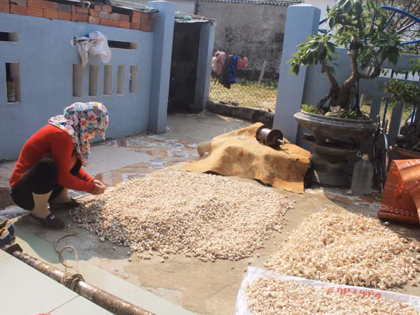 Đời nối đời đạp sóng bám biển kiên cường bảo vệ chủ quyền Tổ quốc ảnh 2