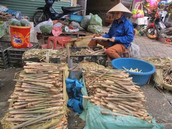 Ngọt - ngon măng sặt Yên Bái ảnh 1