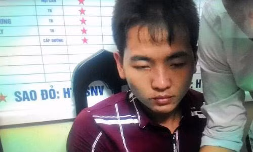 Hà Nội: Bắt giữ đối tượng vận chuyển 20 bánh heroin ảnh 1