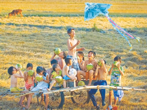 Thả trẻ về đồng quê ảnh 1