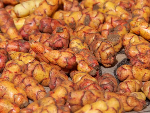 Trồng khoai tây trên sao Hỏa ảnh 1