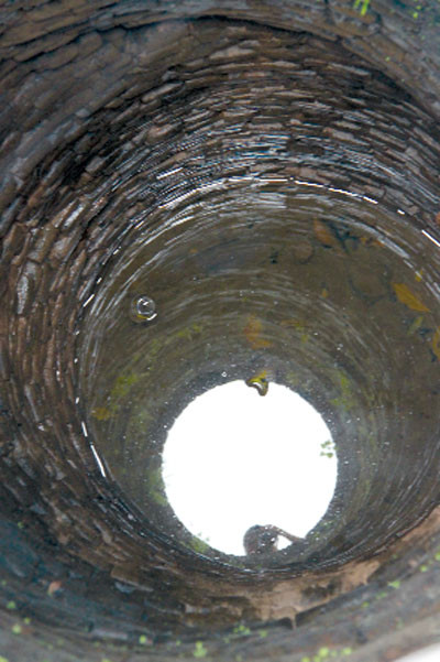 Giếng cổ "trời cho" đẹp nhất Hà thành ảnh 2