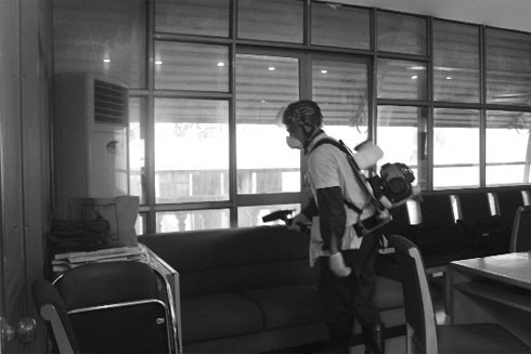 Công sở cũng có thể thành ổ dịch sốt xuất huyết ảnh 1