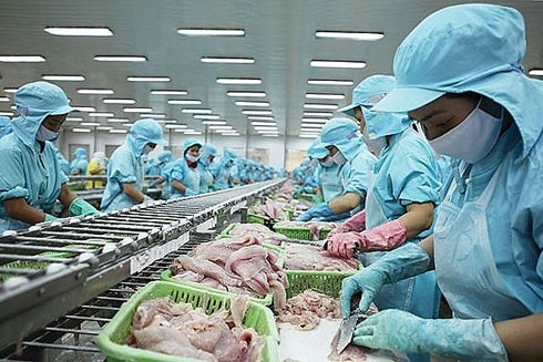 Cải cách để nắm cơ hội lớn do EVFTA mang lại ảnh 2