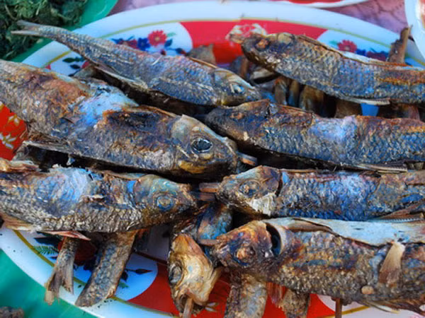 Đất Quảng Nam chưa mưa đã thấm... ảnh 2