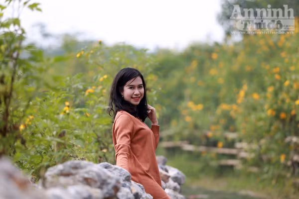 Ngỡ ngàng thảm hoa dã quỳ rực rỡ thủ đô Hà Nội ảnh 5