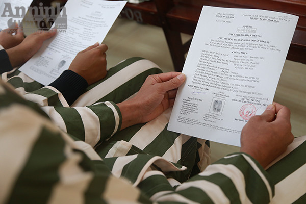 Niềm vui ngày trở về... ảnh 3 Niềm vui ngày trở về... ảnh 3