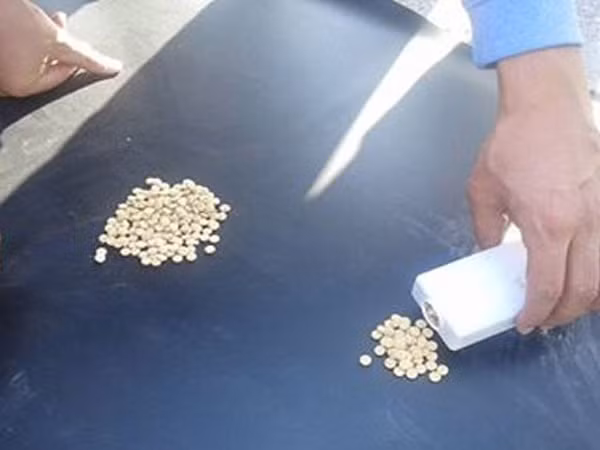 "Thần dược" nguy hiểm của chiến binh Syria ảnh 1