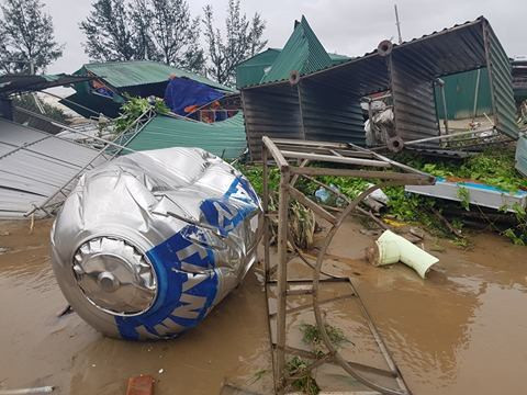 Ảnh hưởng của bão Doksuri, Nghệ An có 1 người chết, 1 người bị thương ảnh 4 Ảnh hưởng của bão Doksuri, Nghệ An có 1 người chết, 1 người bị thương ảnh 4