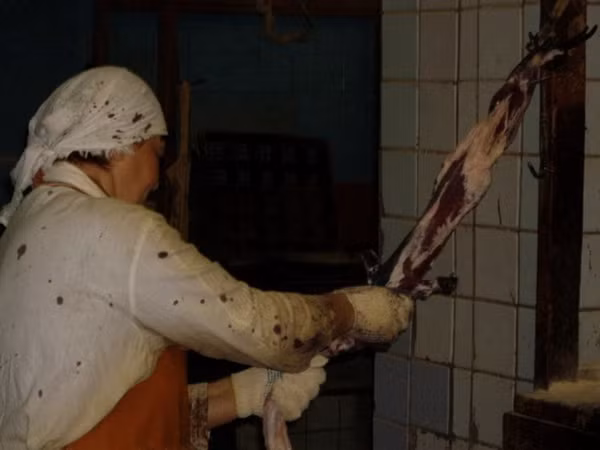 Chùm ảnh rùng rợn bên trong các trại lột lông thú tại Nga và Trung Quốc ảnh 6