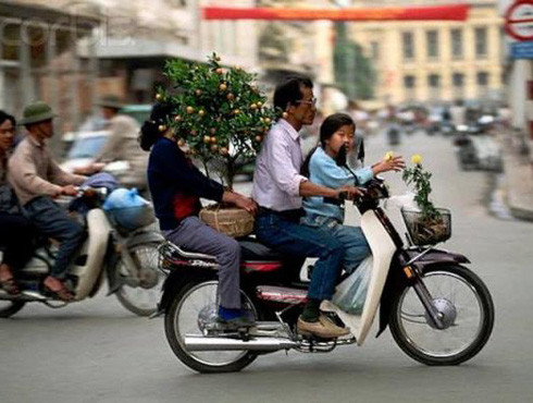 Có một thời muốn đi "giấc mơ" thì nuôi chó Nhật ảnh 2 Có một thời muốn đi "giấc mơ" thì nuôi chó Nhật ảnh 2