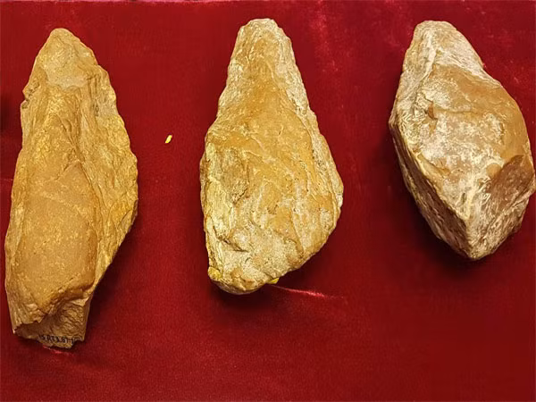 Phát hiện dấu vết người Việt cổ từ cách đây 80 vạn năm ảnh 3