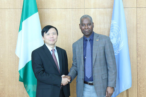 Nhiều nước đánh giá Việt Nam đảm trách xuất sắc vị trí Chủ tịch Hội đồng Bảo an Liên hợp quốc ảnh 1