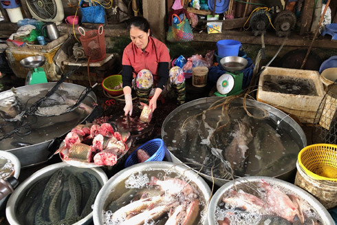 Kiểm soát Covid-19: Cần nhất là niềm tin và sự đồng thuận xã hội ảnh 1