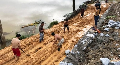 Đám cưới ngày mưa lũ: Chú rể đón dâu bằng xe trâu, cả làng san đường chờ xe hoa ảnh 2