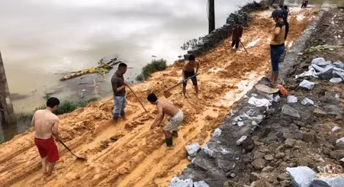 Đám cưới ngày mưa lũ: Chú rể đón dâu bằng xe trâu, cả làng san đường chờ xe hoa ảnh 2