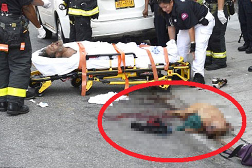 Những hiểm họa mang tên "thú cưng" trong các gia đình ở Mỹ ảnh 1