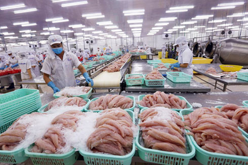 Kinh tế Việt Nam tăng trưởng cao thứ 5 thế giới ảnh 1