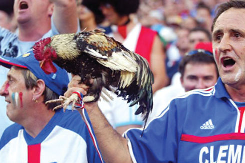 Ghi bàn nhờ... gà trống ảnh 1