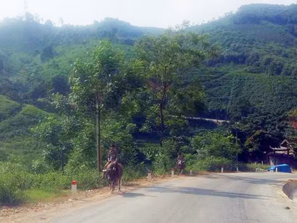 Vụ thảm sát 4 người tại Yên Bái: Người đàn bà thoát chết trở về ảnh 1