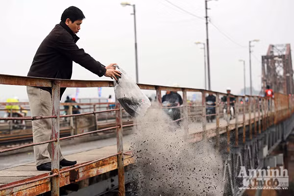 Xem "phương tiện" đặc biệt đưa cá chép xuống sông tiễn ông Táo ảnh 15