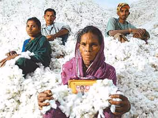 Lối thoát cay đắng của người nông dân Ấn Độ ảnh 1