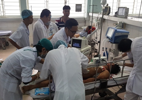 Toàn cảnh vụ trâu húc chết chủ ở Lễ hội chọi trâu Đồ Sơn ảnh 7 Toàn cảnh vụ trâu húc chết chủ ở Lễ hội chọi trâu Đồ Sơn ảnh 7