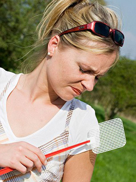 Người nhóm máu O dễ bị muỗi đốt ảnh 1