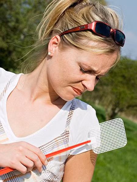 Người nhóm máu O dễ bị muỗi đốt ảnh 1