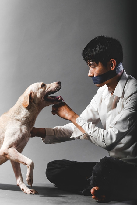 Quang Đăng kêu gọi ngừng ngược đãi loài chó qua hình ảnh ảnh 4 Quang Đăng kêu gọi ngừng ngược đãi loài chó qua hình ảnh ảnh 4