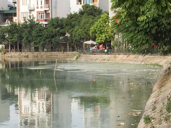 Nước hồ Đầm Tròn ngày càng bốc mùi nặng ảnh 1