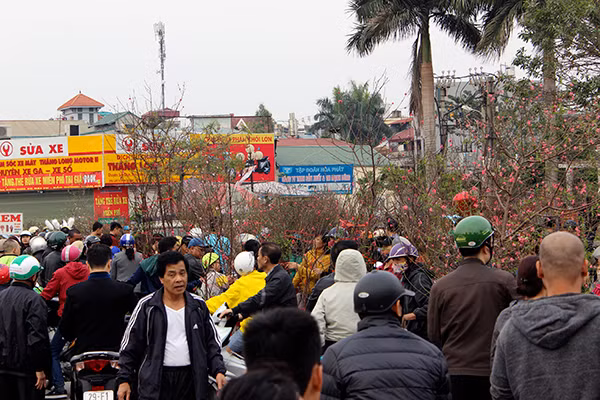 Chiều 30 Tết, Hà Nội vẫn nườm nượp người sắm đào quất ảnh 1 Chiều 30 Tết, Hà Nội vẫn nườm nượp người sắm đào quất ảnh 1