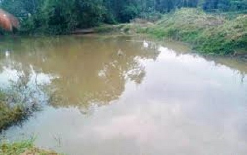 Tắm ao khi đi chăn dê, hai anh em ruột đuối nước thương tâm ảnh 1