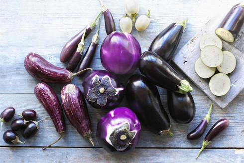 Cà tím chứa chất chống ung thư và lưu ý khi ăn để tránh ngộ độc ảnh 1 Cà tím chứa chất chống ung thư và lưu ý khi ăn để tránh ngộ độc ảnh 1