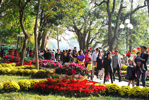 Ánh sáng từ cây mùa xuân ảnh 1