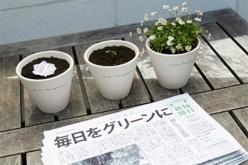 Cây xanh mọc lên từ giấy báo tại Nhật Bản ảnh 2