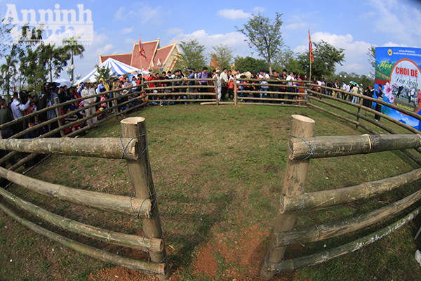 Độc đáo, hài hước lễ hội chọi Dê ảnh 2