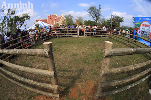 Độc đáo, hài hước lễ hội chọi Dê ảnh 2