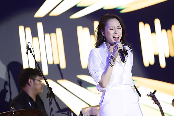 Mỹ Tâm rơi nước mắt trước hơn 10 ngàn khán giả trên phố đi bộ Nguyễn Huệ ảnh 14