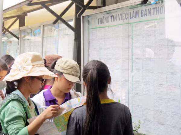 Sinh viên bị lừa khi kiếm việc làm thêm giáp Tết ảnh 1