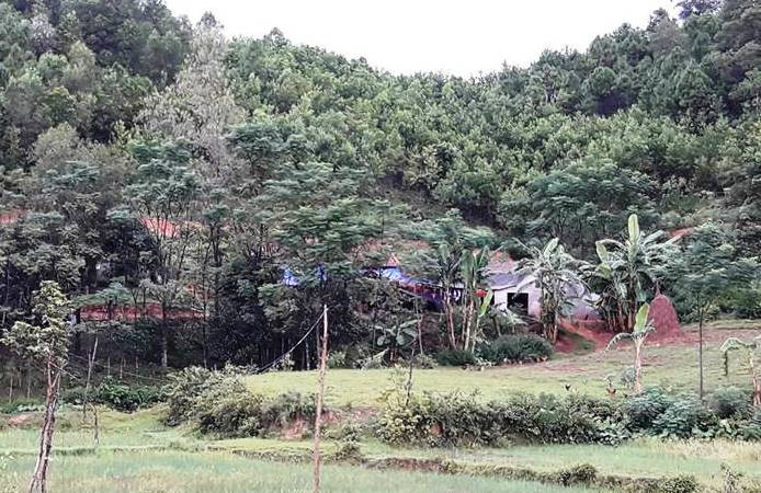 Bị sét đánh trúng khi đang ngủ, cha và con gái tử vong ảnh 1