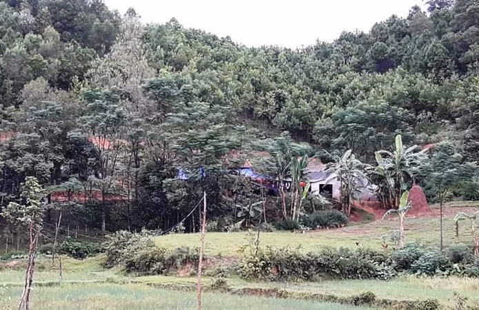 Bị sét đánh trúng khi đang ngủ, cha và con gái tử vong ảnh 1