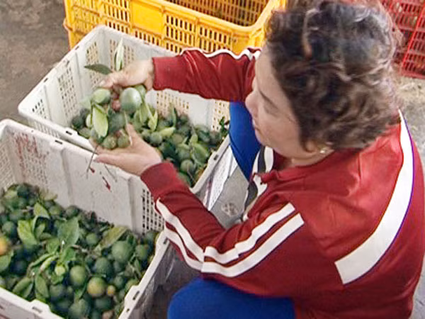 Muôn vàn thủ đoạn "bẩn" của thương lái Trung Quốc nhiễu loạn thị trường Việt Nam ảnh 1