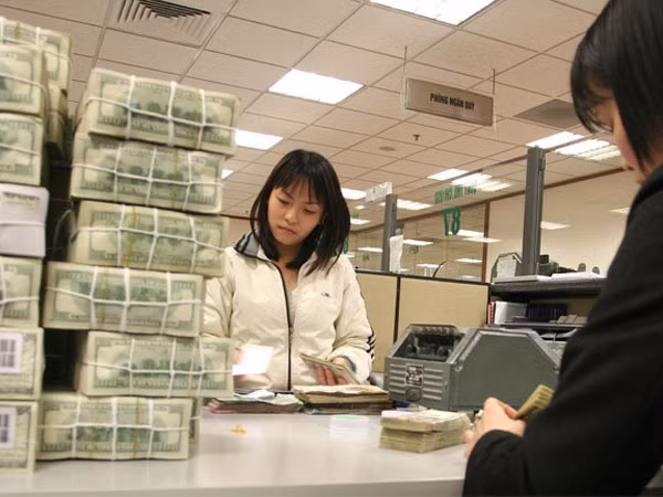 Doanh nghiệp được tiếp tục gia hạn vay ngoại tệ ảnh 1